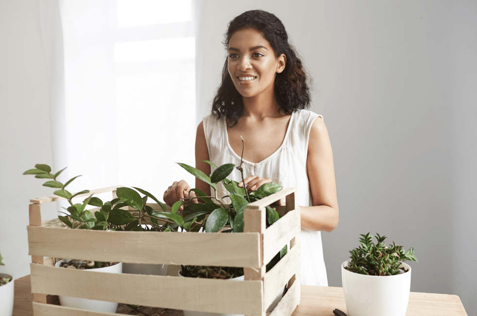 How to Pack Plants for Moving